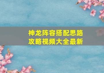 神龙阵容搭配思路攻略视频大全最新