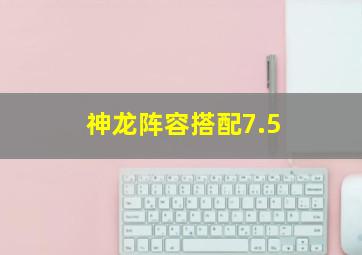 神龙阵容搭配7.5