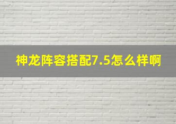 神龙阵容搭配7.5怎么样啊