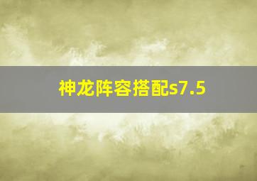 神龙阵容搭配s7.5