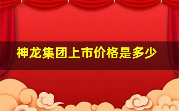 神龙集团上市价格是多少