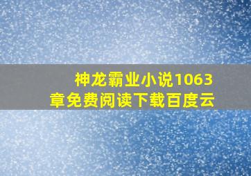 神龙霸业小说1063章免费阅读下载百度云