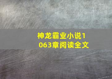 神龙霸业小说1063章阅读全文