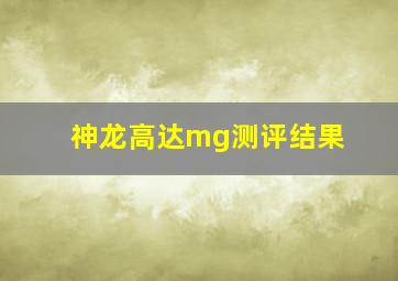 神龙高达mg测评结果