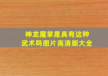 神龙魔掌是真有这种武术吗图片高清版大全