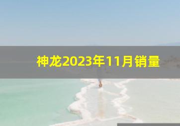 神龙2023年11月销量