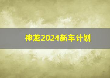 神龙2024新车计划