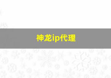 神龙ip代理