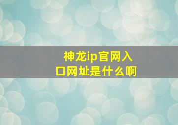 神龙ip官网入口网址是什么啊