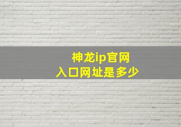 神龙ip官网入口网址是多少