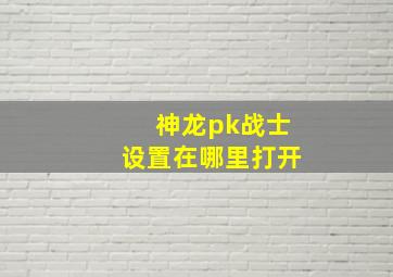 神龙pk战士设置在哪里打开