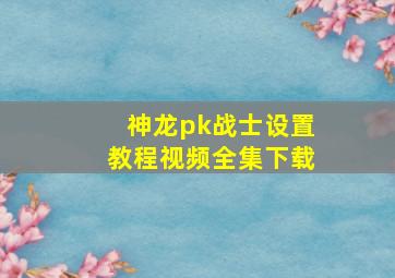 神龙pk战士设置教程视频全集下载