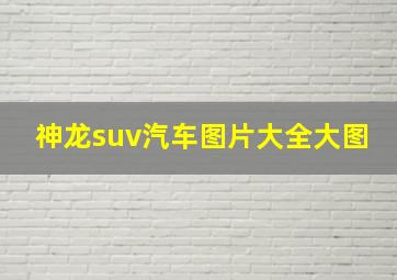 神龙suv汽车图片大全大图