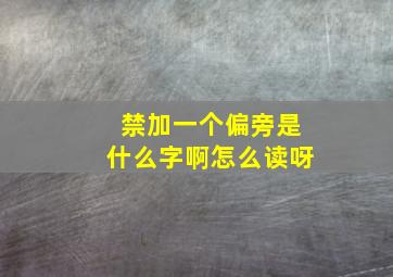 禁加一个偏旁是什么字啊怎么读呀