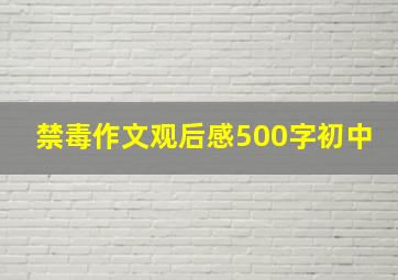 禁毒作文观后感500字初中