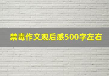 禁毒作文观后感500字左右