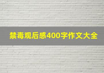 禁毒观后感400字作文大全