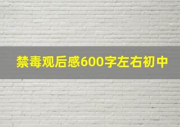 禁毒观后感600字左右初中