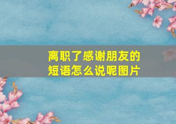 离职了感谢朋友的短语怎么说呢图片