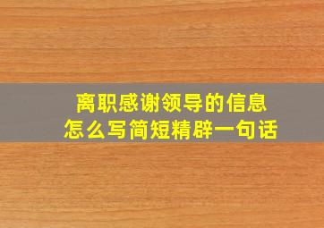 离职感谢领导的信息怎么写简短精辟一句话