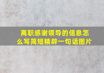 离职感谢领导的信息怎么写简短精辟一句话图片