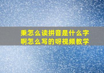 秉怎么读拼音是什么字啊怎么写的呀视频教学