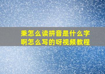 秉怎么读拼音是什么字啊怎么写的呀视频教程