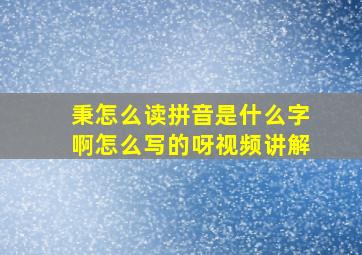 秉怎么读拼音是什么字啊怎么写的呀视频讲解