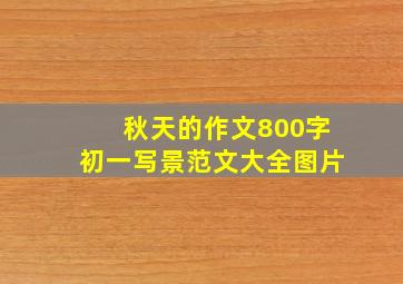 秋天的作文800字初一写景范文大全图片