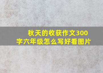 秋天的收获作文300字六年级怎么写好看图片