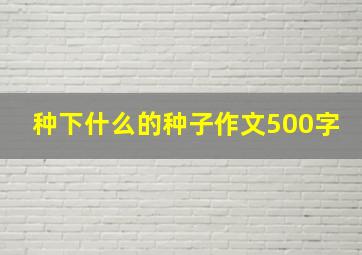 种下什么的种子作文500字