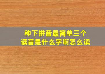 种下拼音最简单三个读音是什么字啊怎么读