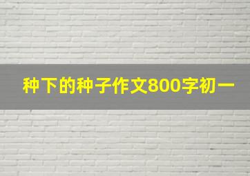 种下的种子作文800字初一