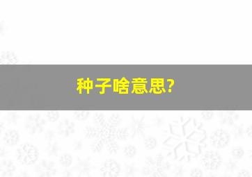 种子啥意思?