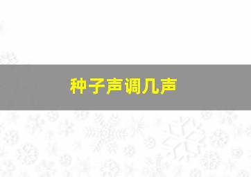 种子声调几声