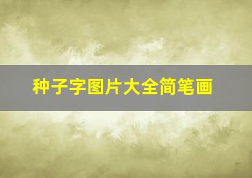 种子字图片大全简笔画