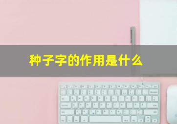 种子字的作用是什么