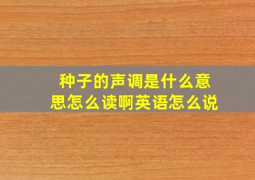 种子的声调是什么意思怎么读啊英语怎么说