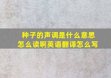 种子的声调是什么意思怎么读啊英语翻译怎么写