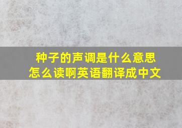 种子的声调是什么意思怎么读啊英语翻译成中文