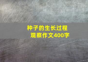 种子的生长过程观察作文400字