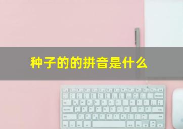 种子的的拼音是什么