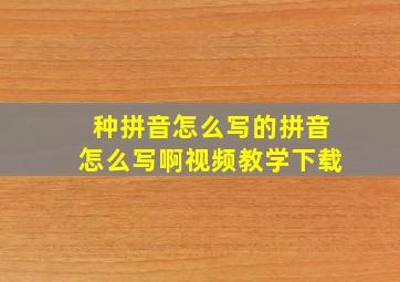 种拼音怎么写的拼音怎么写啊视频教学下载