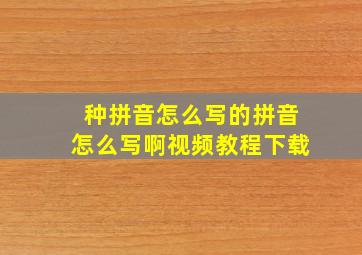 种拼音怎么写的拼音怎么写啊视频教程下载