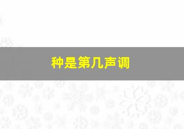 种是第几声调