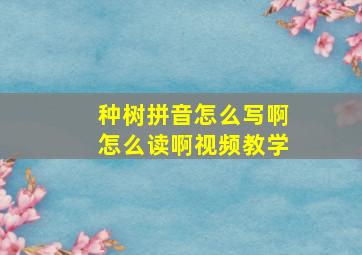 种树拼音怎么写啊怎么读啊视频教学