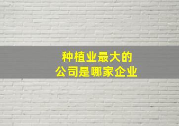 种植业最大的公司是哪家企业