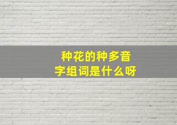 种花的种多音字组词是什么呀