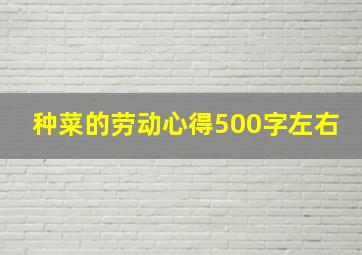 种菜的劳动心得500字左右