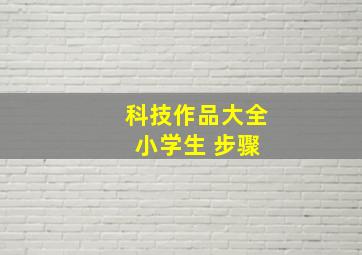 科技作品大全 小学生 步骤